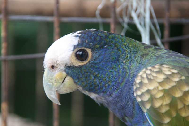 Mexico & Guatemala 2010 - 0324